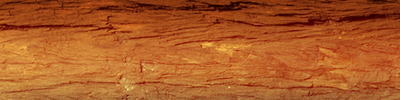 Wooden background
